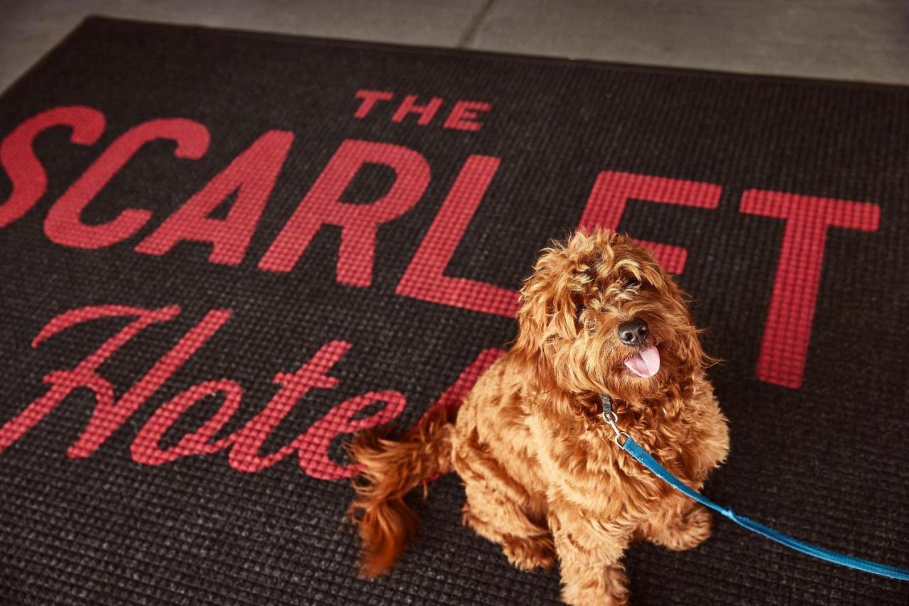 The Scarlet, Lincoln, A Tribute Portfolio Hotel エクステリア 写真